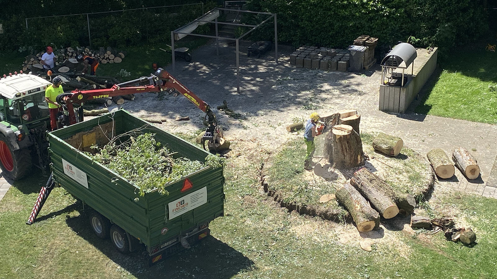 Baumfallung_der_letzte_REst